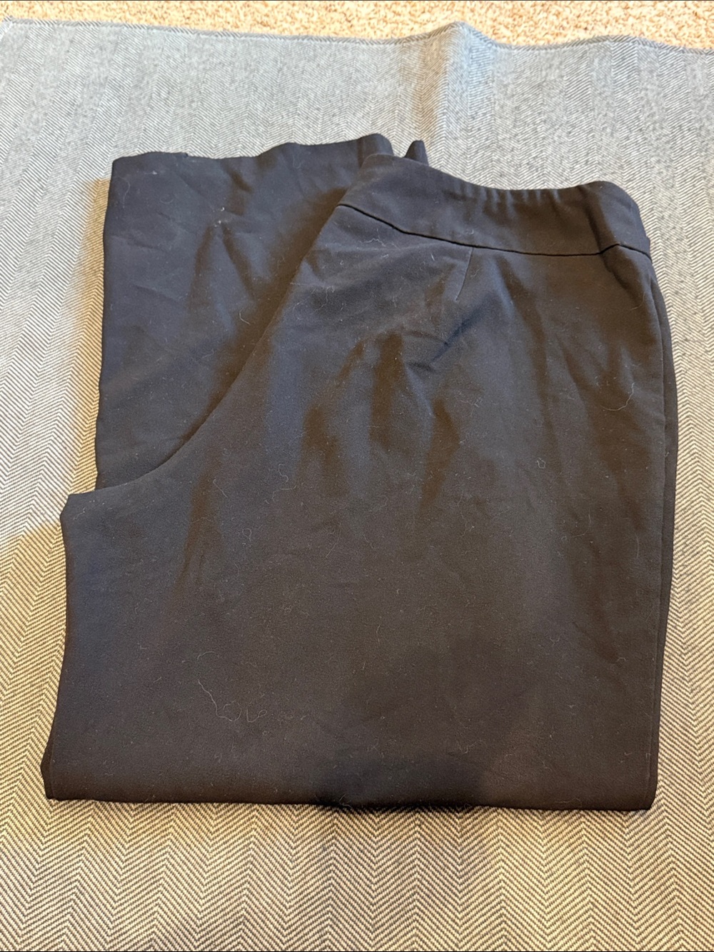 Dress Barn Black Pull-On Pants